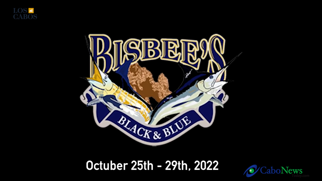 Bisbees Black Blue 1