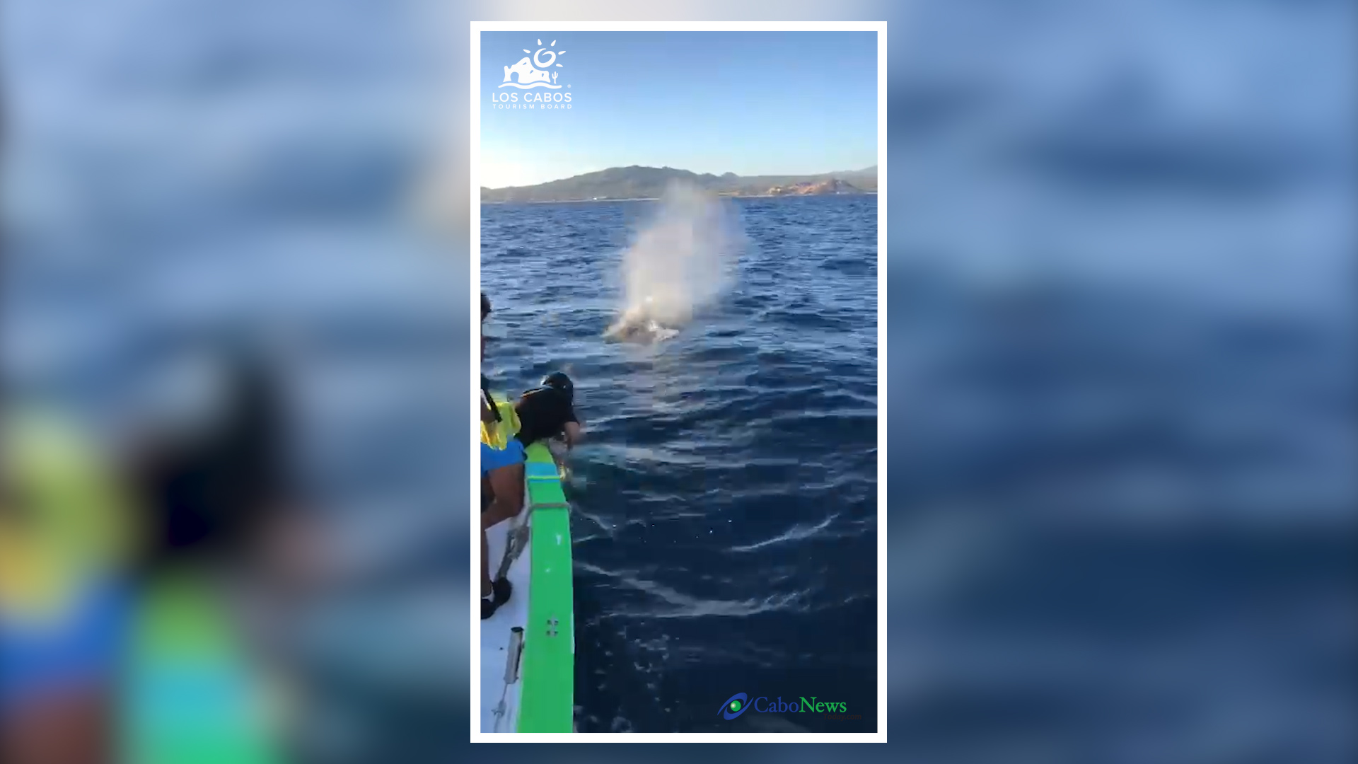 CNT Ballena 1