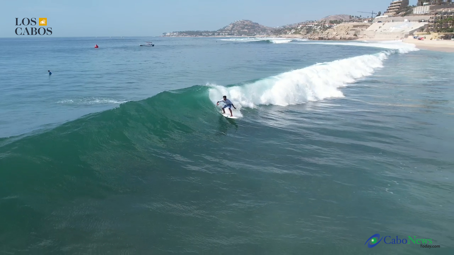 Surf CNT