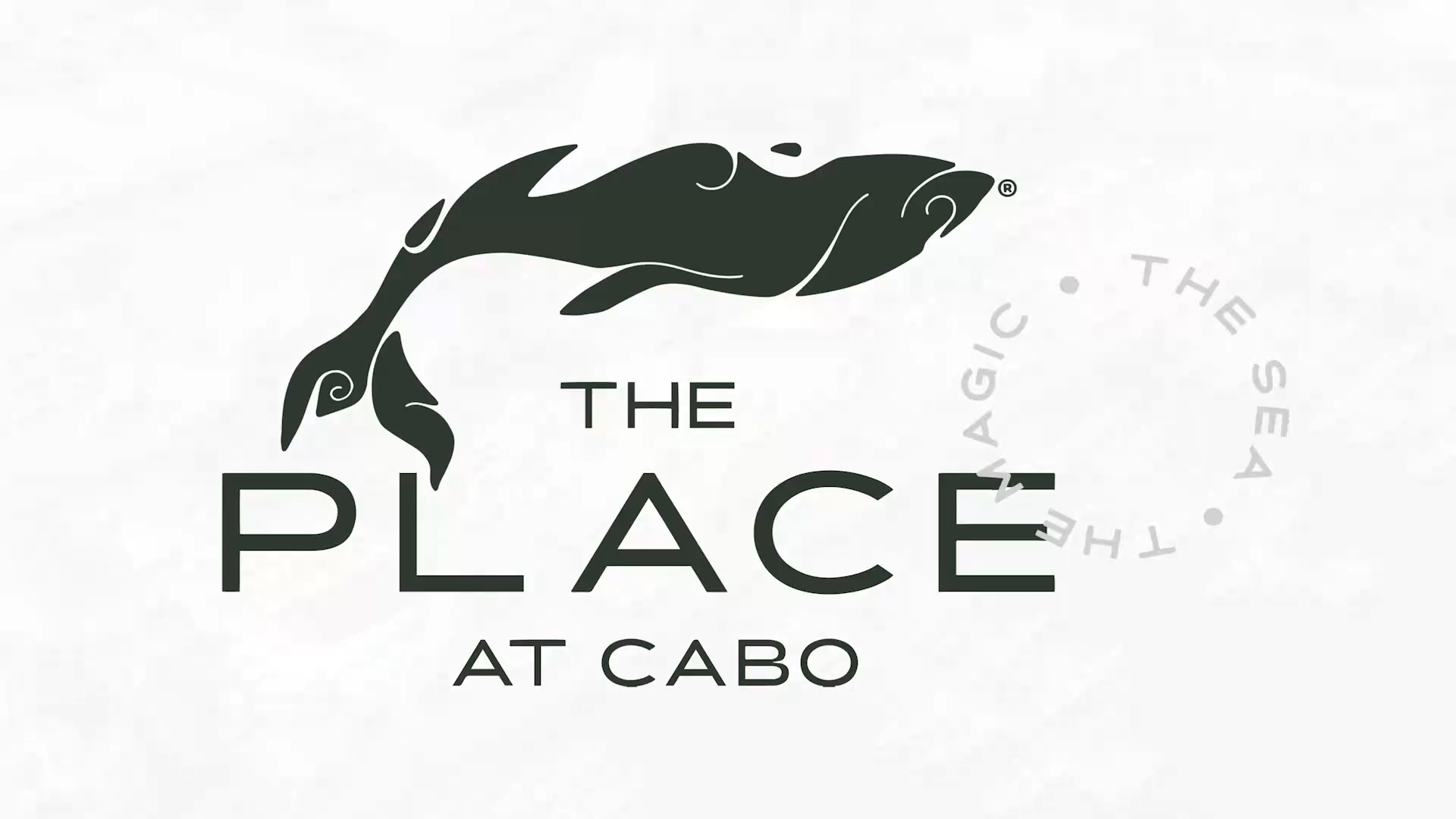 The Place at Cabo 2